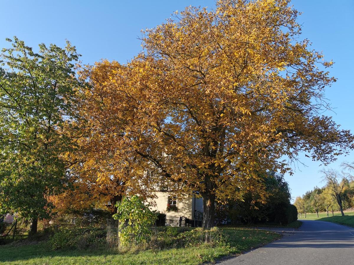 Ferienwohnung "Am Saalehaken" Gossitz Exterior photo